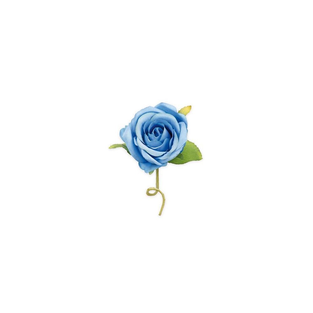 ROSELLINE CDUE FOGLIE AVION